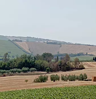 Foto annuncio 20