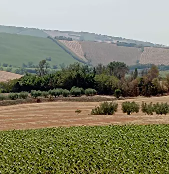 Foto annuncio 22
