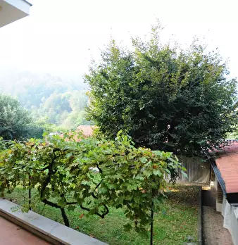 Foto annuncio 24