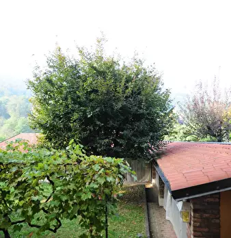 Foto annuncio 25