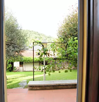 Foto annuncio 14