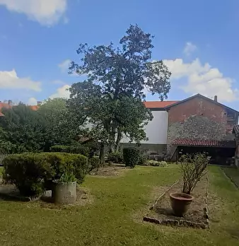 Foto annuncio 47