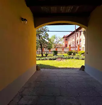 Foto annuncio 51
