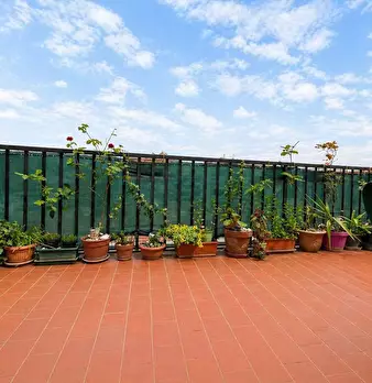 Foto annuncio 6