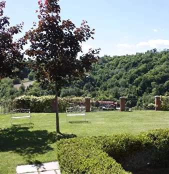 Foto annuncio 24