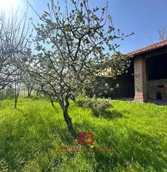 Foto annuncio 3