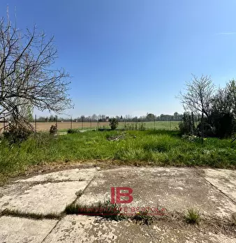Foto annuncio 20