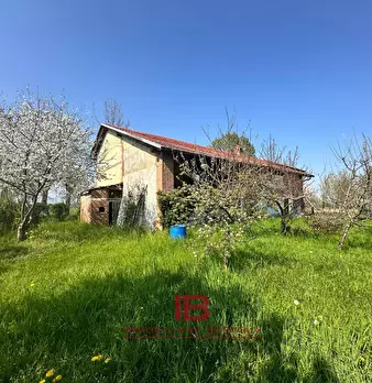 Foto annuncio 24