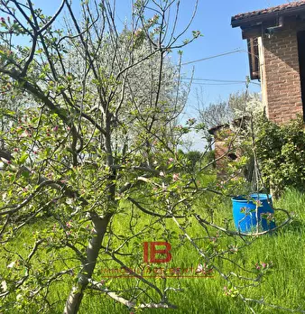 Foto annuncio 28