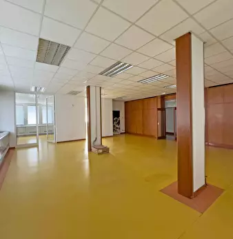 Foto annuncio 10