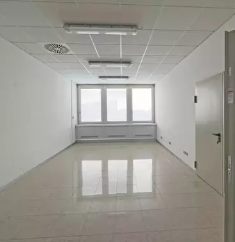 Foto annuncio 17