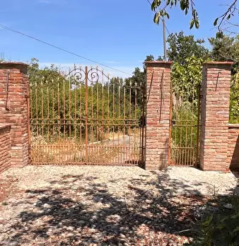 Foto annuncio 52
