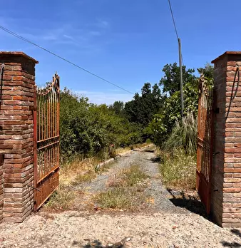Foto annuncio 8