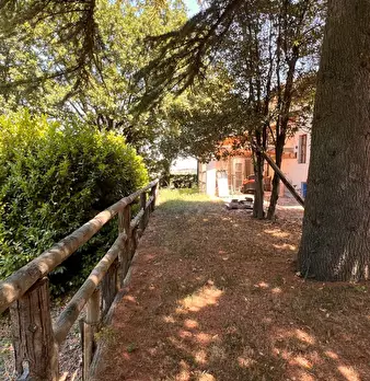 Foto annuncio 13