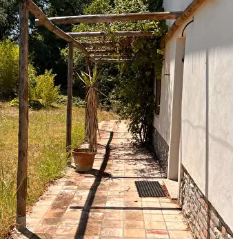 Foto annuncio 5