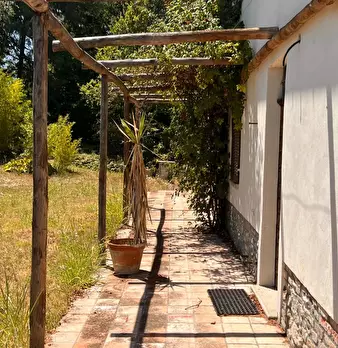 Foto annuncio 18