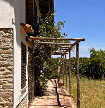 Foto annuncio 28