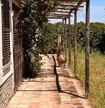 Foto annuncio 6