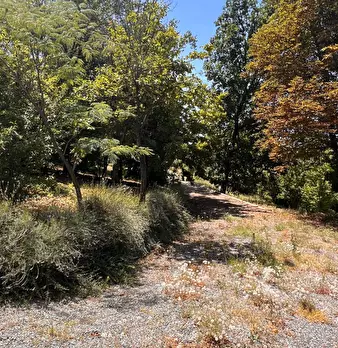 Foto annuncio 34