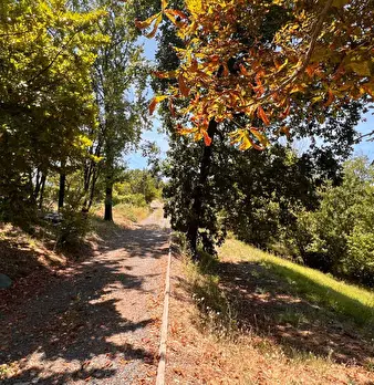 Foto annuncio 39