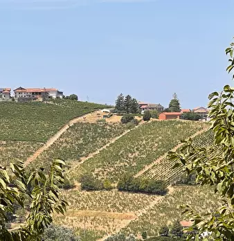 Foto annuncio 42