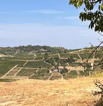 Foto annuncio 51
