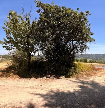 Foto annuncio 54
