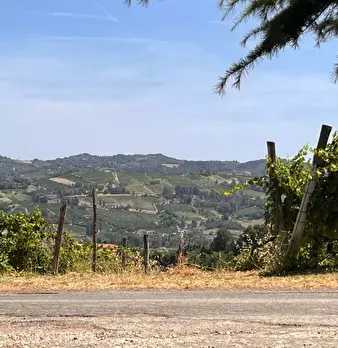 Foto annuncio 55