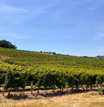 Foto annuncio 61