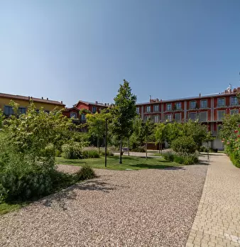 Foto annuncio 18