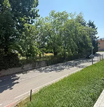 Foto annuncio 18