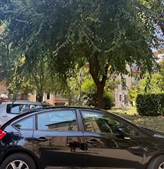 Foto annuncio 18