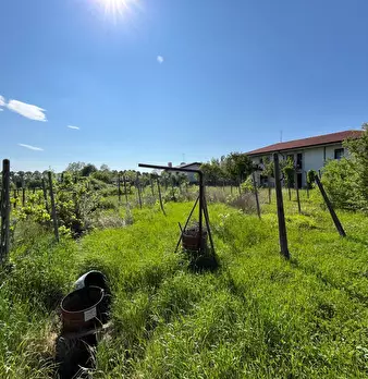 Foto annuncio 1