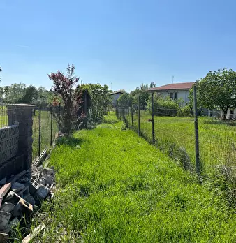Foto annuncio 6