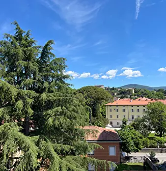 Foto annuncio 10