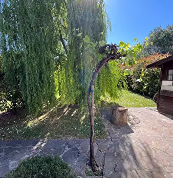 Foto annuncio 32