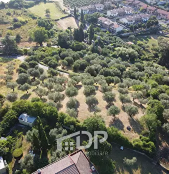 Foto annuncio 7