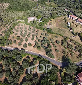 Foto annuncio 12