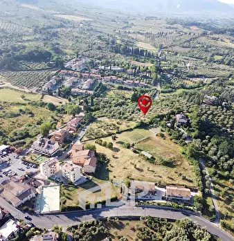 Foto annuncio 14