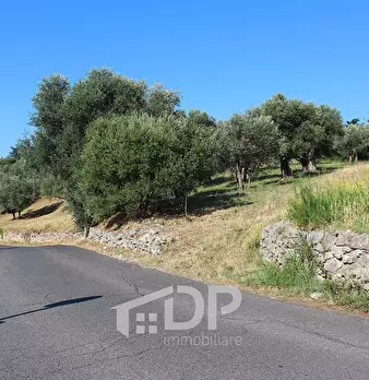 Foto annuncio 20