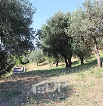 Foto annuncio 23