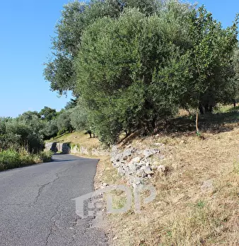 Foto annuncio 22