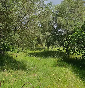 Foto annuncio 14