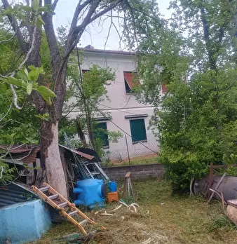 Foto annuncio 6