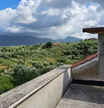Foto annuncio 19