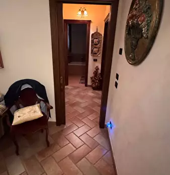 Foto annuncio 42