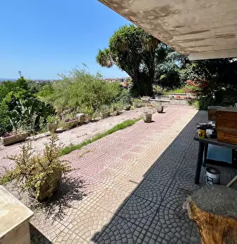 Foto annuncio 67