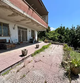 Foto annuncio 68