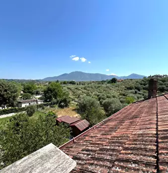 Foto annuncio 25