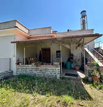 Foto annuncio 29